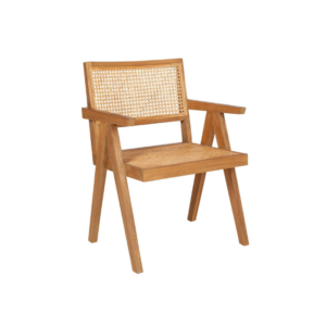 Franco Cane Rattan Arm Chair by Jeffan 1