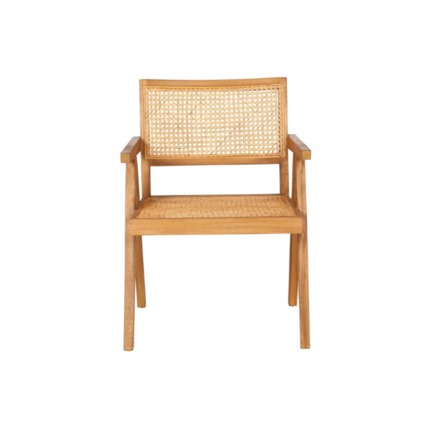 Franco Cane Rattan Arm Chair by Jeffan 2