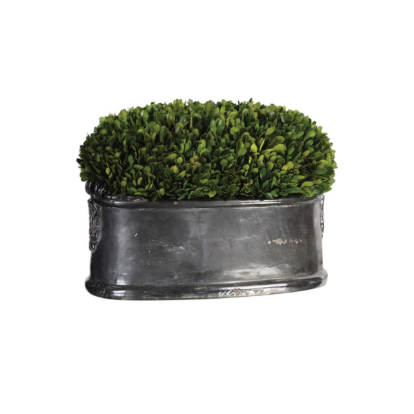 UTTERMOST PRESERVED BOXWOOD, DOME CENTERPIECE 1