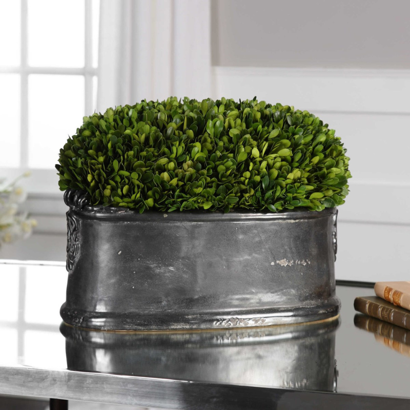 UTTERMOST PRESERVED BOXWOOD, DOME CENTERPIECE 2